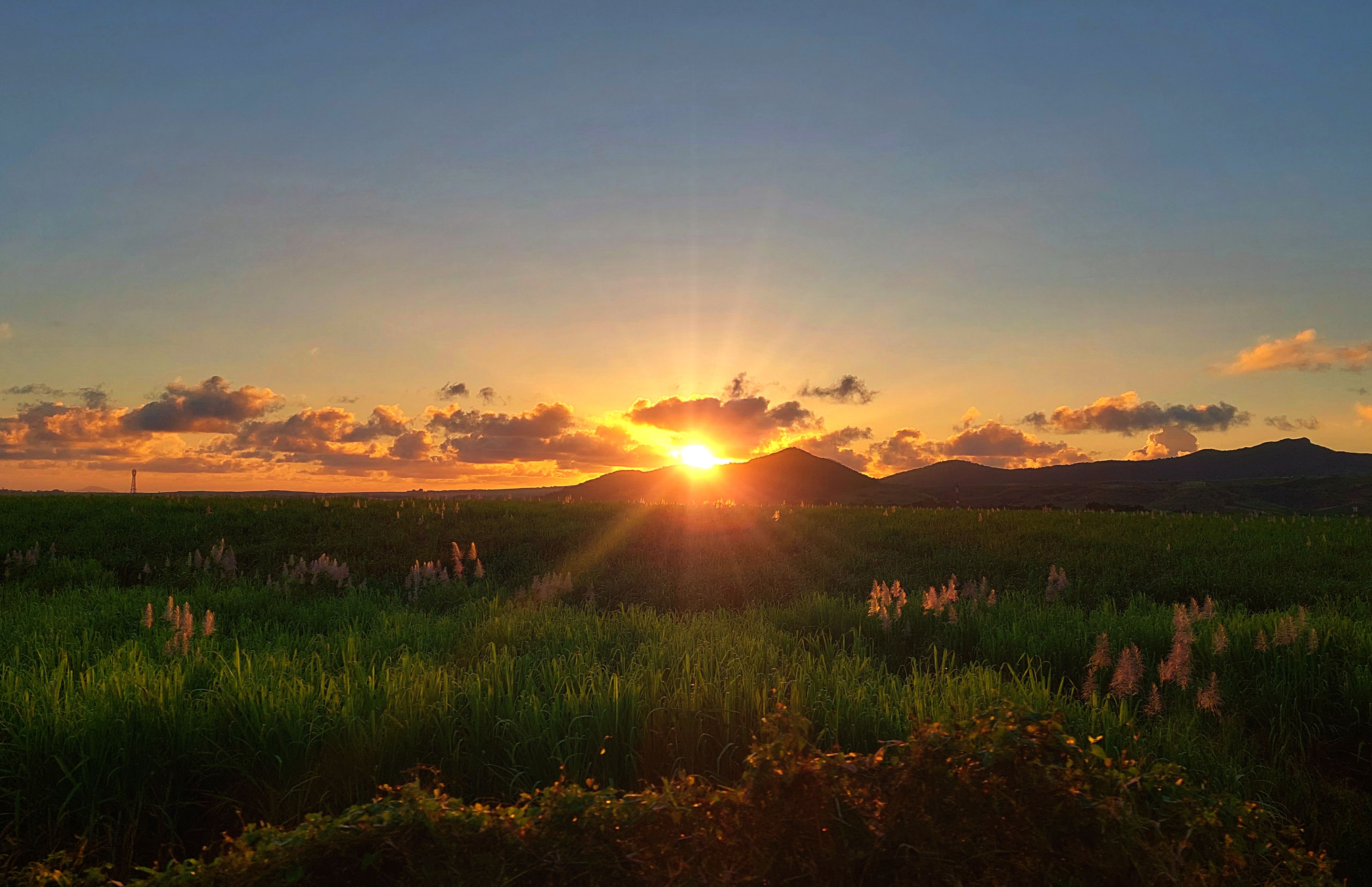 Sunrise light breaking over open farmland at dawn